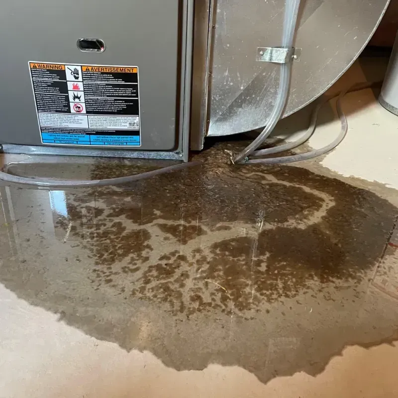 Appliance Leak Cleanup in Merrionette Park, IL